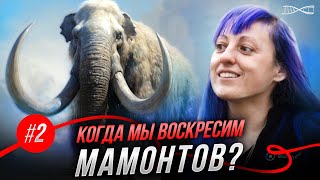 Далеко ли до возрождения Мамонтов?