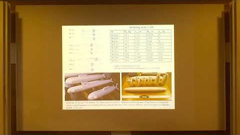 SIP | Dr. Vitaliy Zemlyak | Experimental modelling of waves in ice cover