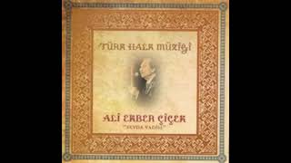 Ali Ekber Çiçek - Başka Tabip  Resimi