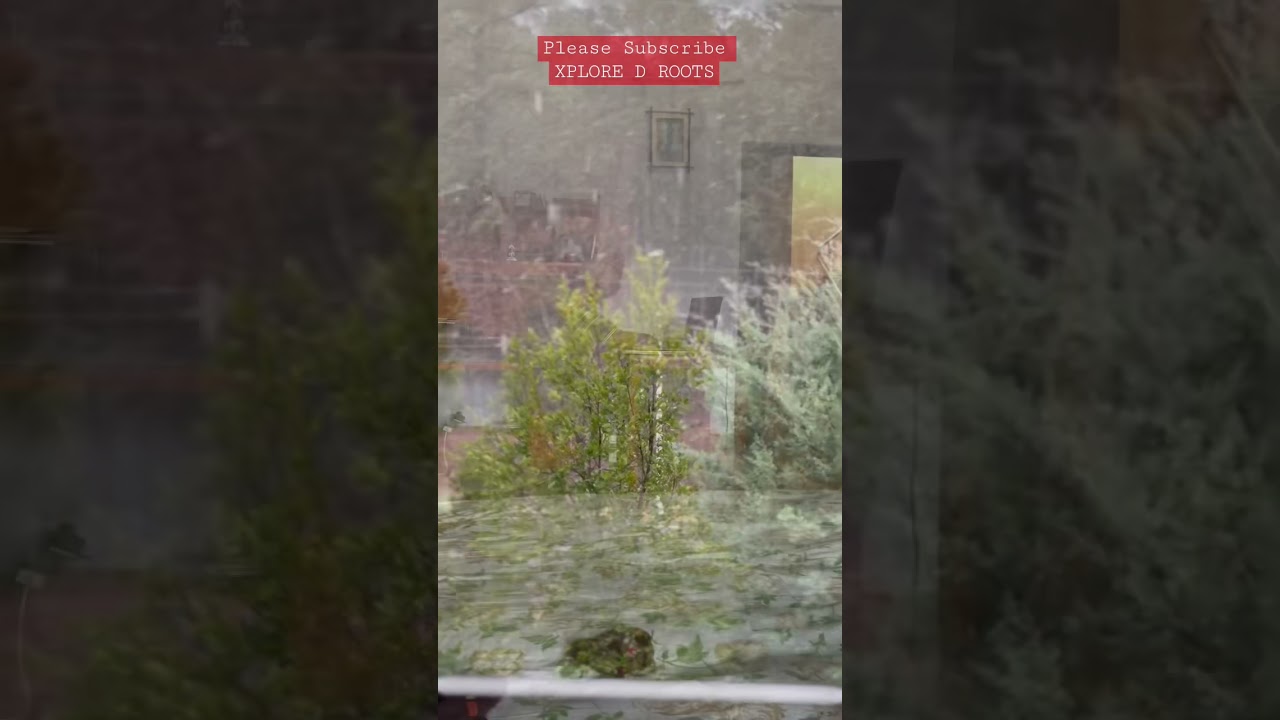 Daddy taking Nap , Work From Home Benefits 😀