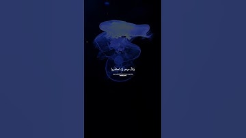 اسلام صبحي | سورة إبراهيم (8) | إن تكفروا انتم ومن في الارض جميعا"🥺🎧🖤