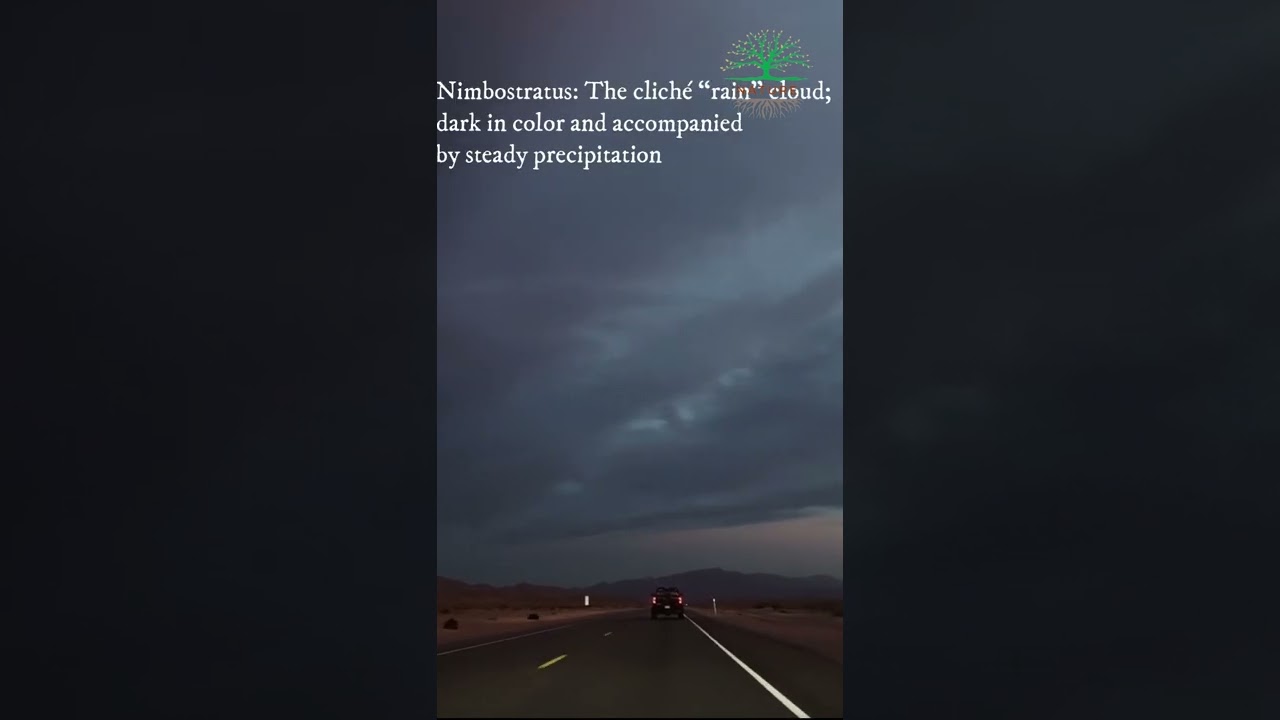 Nimbus Clouds