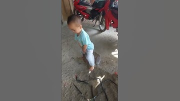 Chuột Loi Rạp Chuột Chơi #shorts #ngocdieuvlog