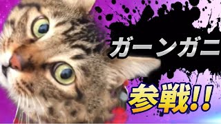 変わった鳴き声の猫 全員参戦！Part2【ガーンガニ】