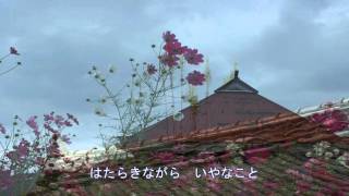 昭和縄のれん 走 裕介  covered by egurin3143