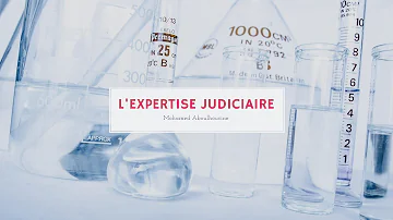 Quel est le rôle de l'expert judiciaire ?