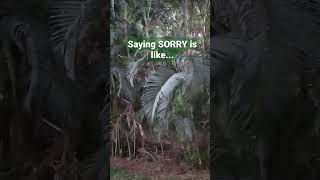 Saying sorry doesn't make you all... #motivation #motivational #life #happiness Wealth