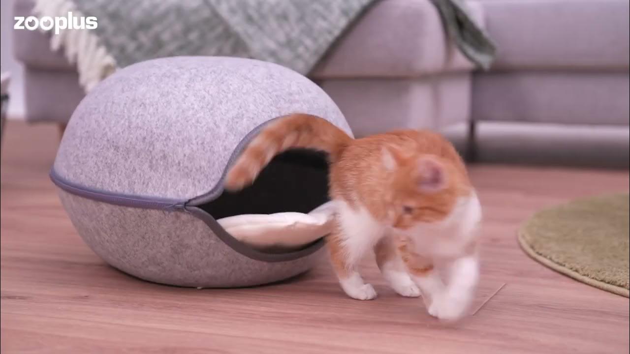 Big Baby Cuddle Den YouTube