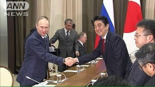 ソチで日ロ首脳会談　プーチン大統領、秋に訪日(14/02/09)