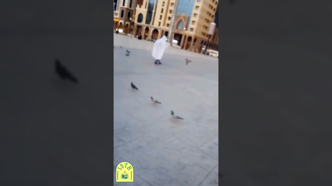 আলহামদুলিল্লাহ - মদিনা - নববীর অপরূপ সৌন্দর্য @IMRANSHOVATRAVELBOOK-ISTB