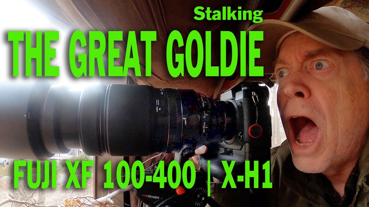 FUJI XF 100-400, X-H1 wildlife photography