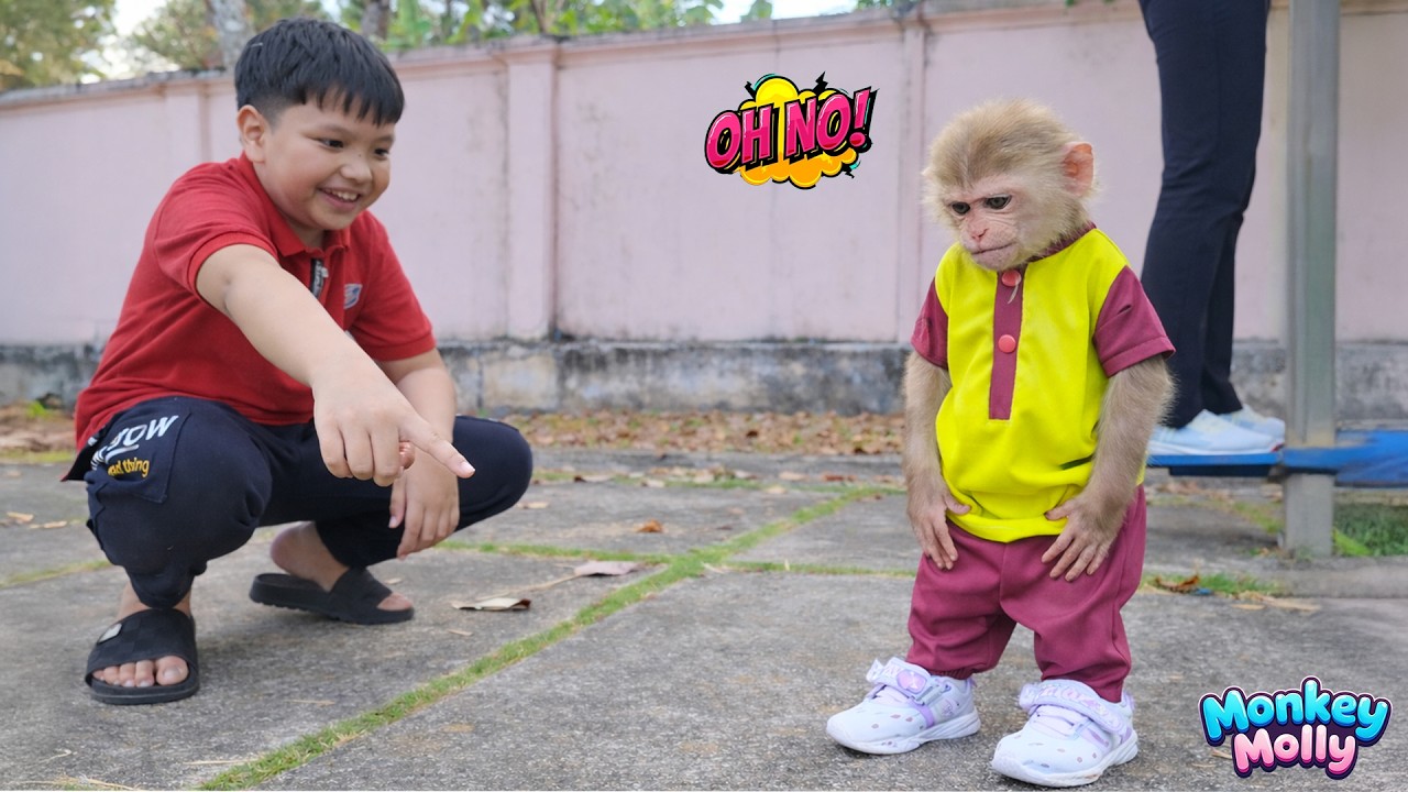 An energetic afternoon as Monkey Molly goes jogging with Mom to stay healthy