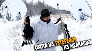 Охота на тетеревов из мелкашки в сильный ветер