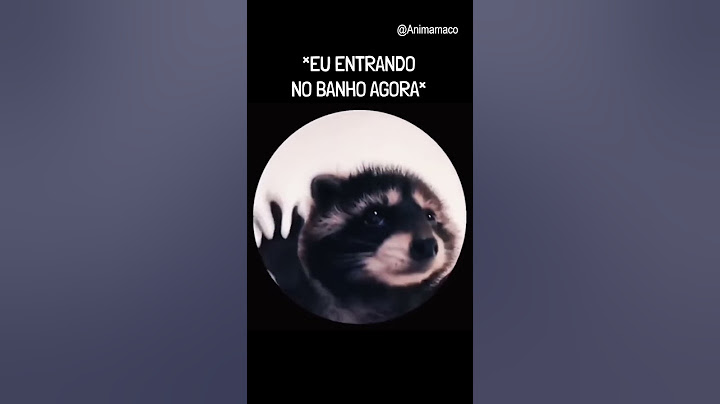 PEDRO PEDRO PEDRO 🦝 #memes #pedropedro #viral #macaquiz