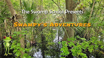 What Is a Wetland? | Swampy’s Adventures Explains Wetland Science
