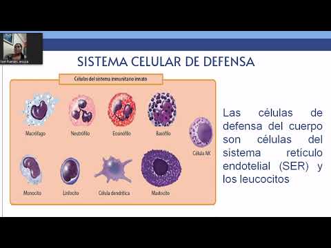 citopatologia general y