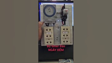 Bộ TIMER ĐẢO dành cho nhà yến