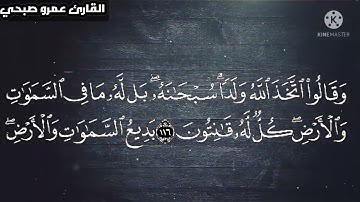 آيات من سورة البقرة| وَمَنْ أَظْلَمُ مِمَّن مَّنَعَ مَسَاجِدَ اللَّهِ|تلاوة هادئة| القارئ عمرو صبحي