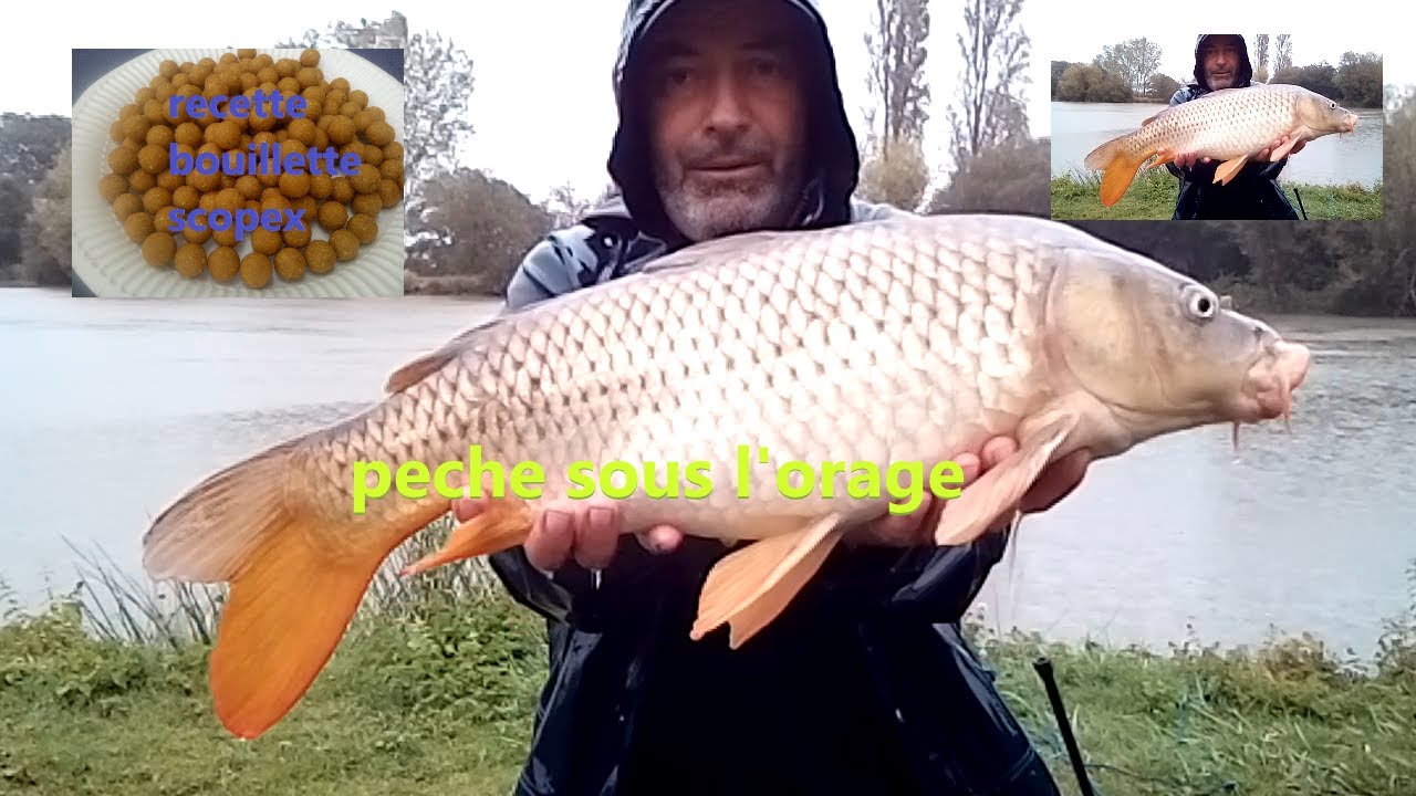 recette bouillette scopex et pêche rapide sous la pluie