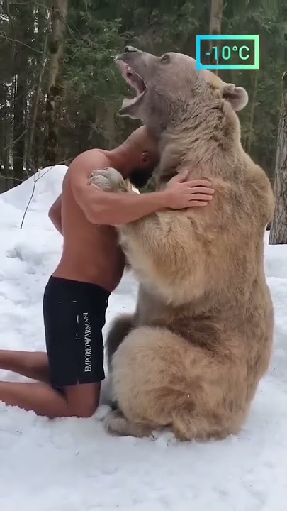 Russians and bears is a love story that never ends #shorts