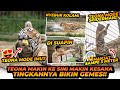 BEGINI RASANYA SEHARIAN JADI PERAWAT TEONA SI HARIMAU BENGGALA LINCAH ! DIJAMIN NAGIH !