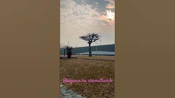 Thumbnail of Design of the 🌴 tree is unbelievable #godisgreat #music #song #live
