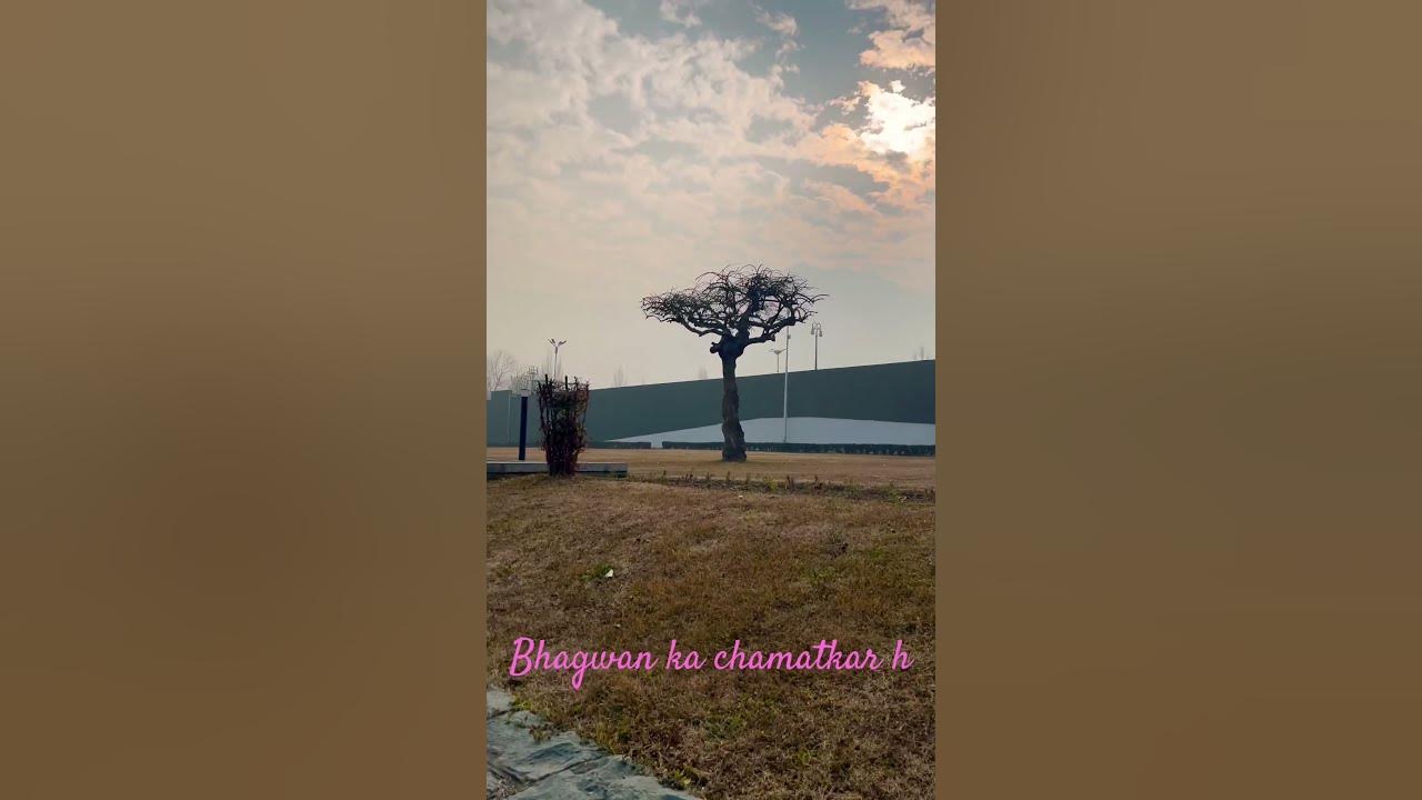 Design of the 🌴 tree is unbelievable #godisgreat #music #song #live