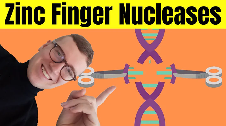 Zinc Finger Nucleases (ZFNs) Explained | Gene Editing Using ZFNs