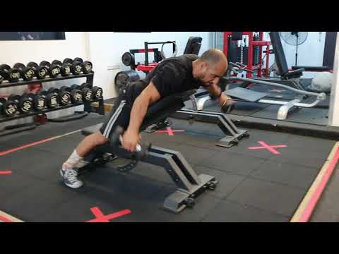 Chest Supported Dumbbell Reverse Flys