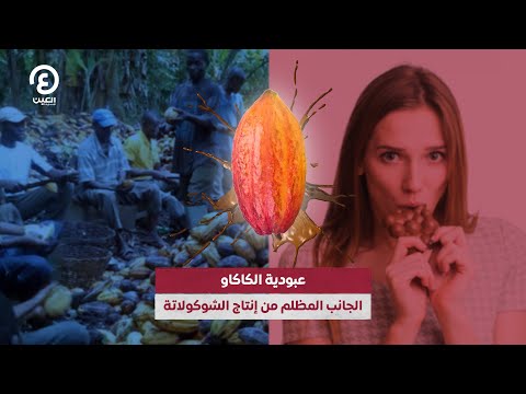 عبودية الكاكاو الجانب المظلم من إنتاج الشوكولاتة