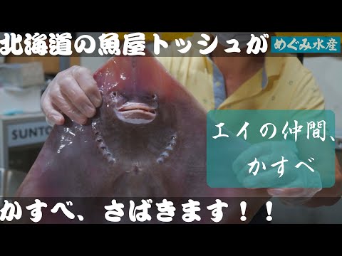 カスベ(エイの仲間)さばいて、唐揚げにして、美味しくいただきました! #カスベ #さばき方 #厚真町 #北海道 #メガネカスベ