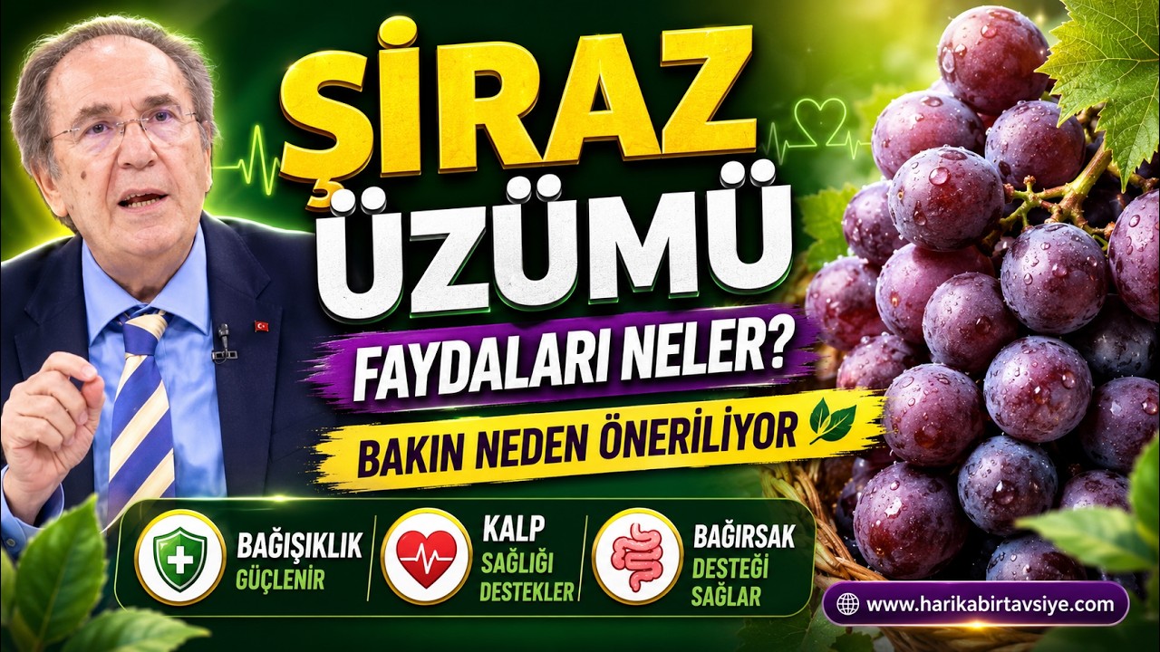 Şiraz Üzümü Bağırsak ve Kalp Sağlığında Neden Öne Çıkıyor?