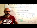 La Ley que predice el futuro: Segunda Ley de Newton. De la física básica al determinismo filosófico.