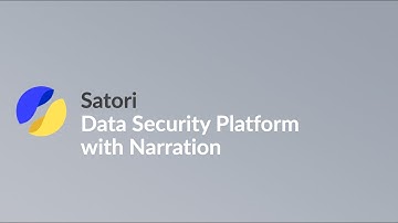 Satori Data Security Platform 2025