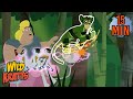 Lemur Adventure Quiz