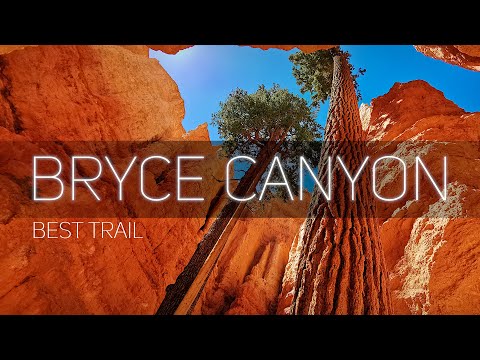 Video: Grand Canyon National Park: Der vollständige Leitfaden