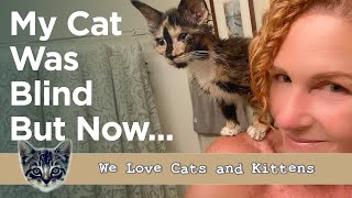 This Blind Kitten Never Gave Up, So Neither Did I! by Cats and Kittens 743 views 4 weeks ago 4 minutes, 7 seconds