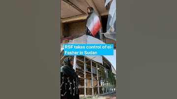 Paramilitary RSF takes control of el-Fasher in Sudan