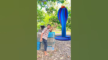 Anaconda snake in real life P153#shorts #short #snake #nagin #python #anaconda #snakes #bigsnake