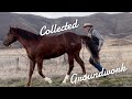 Groundwork With Collection | Introducing Jags Frenchmans Mack