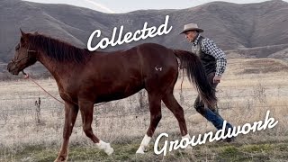 Groundwork With Collection Introducing Jags Frenchmans Mack