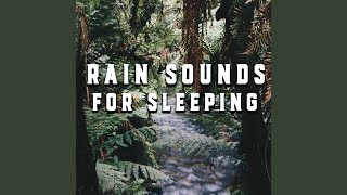 Rainy Phases Interlude