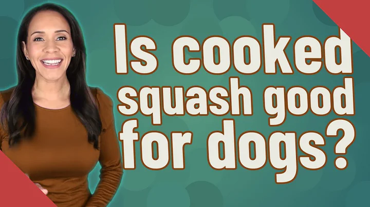 Is cooked squash good for dogs? - DayDayNews