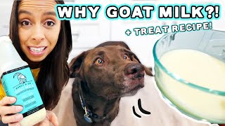 Goat Milk Healthy for Dogs?! + EASY Treat Recipe!!