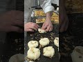 mini rosquinha torresmo