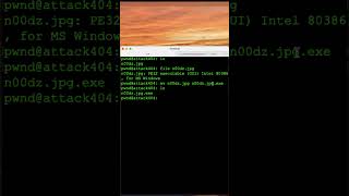 Malware Minute - File Extensions Types