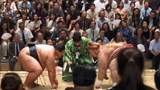 Sumo Wrestling Tournament(Austin Powers) 🤣😂