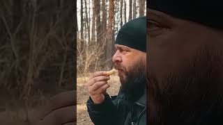 Выживалово Дегустация #лес #природа #еда