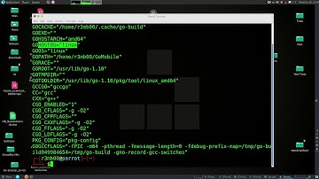 How to Check Golang Environment with a Single Command on Parrot Security Linux