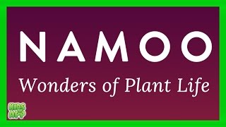 NAMOO - Wonders of Plant Life (CRAYON BOX Inc.) - Best App For Kids screenshot 5